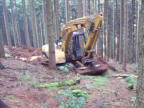 Waldwegebau